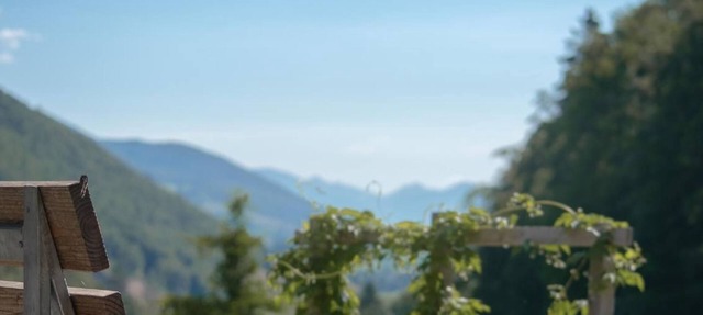 Berghof Montpelon by Interhome