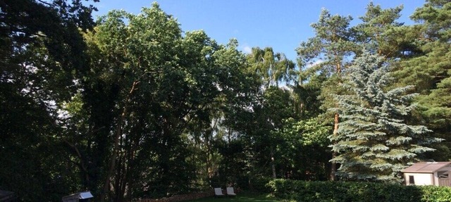 Biebernest Comfortable holiday residence