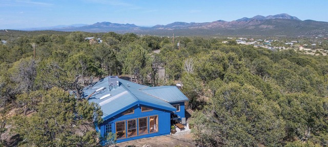Blue Pine Cabin