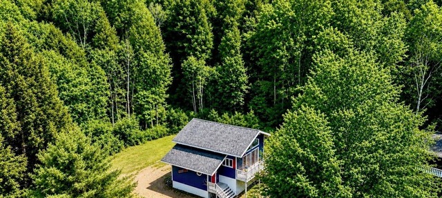 Bluebird Chalet - Spacious 3 bedroom + loft. Storyland, North Conway, Jackson