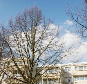 Boarding House "Herzogpark Celle"