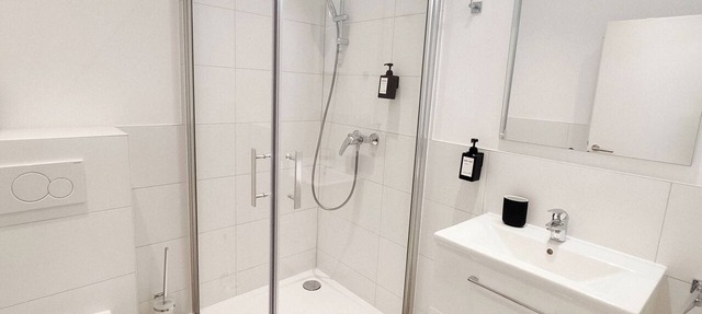 Bonquartier | LUX apt-HAUS - 11 pers. in 5 apartments
