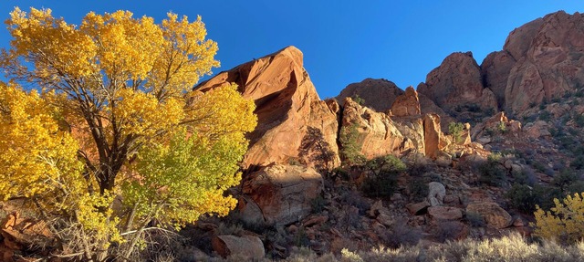Boulder Canyons Nano Cabin