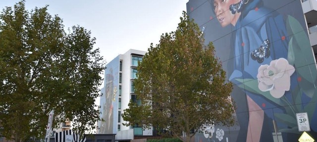 Bowden Modern & Comfortable Apartment & Parking