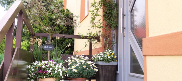 Bright, friendly 2-room apartment close to the city center