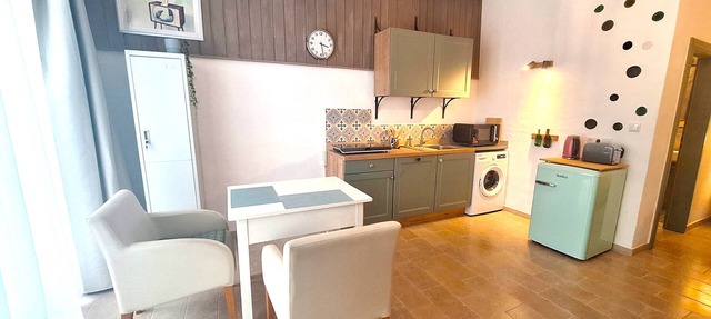 Bright studio apartment