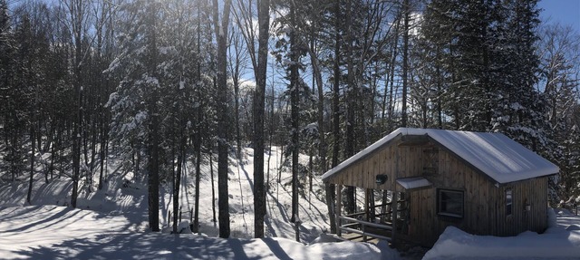 Brookside cabin on Budding Homestead