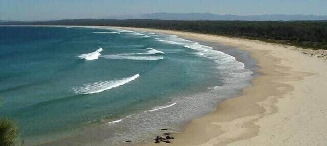 Broulee - Pet Friendly Coastal Delight!