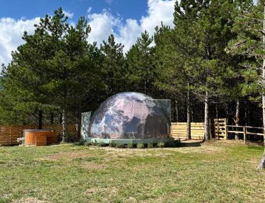 Bubble Room Experience