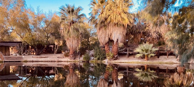 Bubbling Wells Oasis