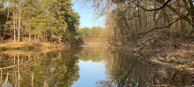 Bungalow 'In the Forest by the Lake - Biberspur' with Lake View and Garden