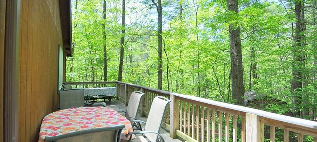 Cabin at Sleepy Creek - Charming Cabin