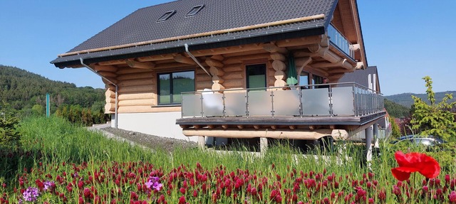 Canadian log cabins in the Hunsrück with lake and national park views