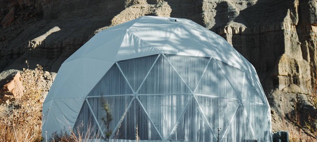 Capitol Reef Dome | Yucca