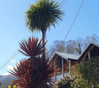Carrick Chalets