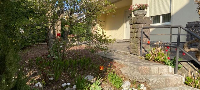 Casa Bosco