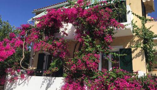 Casa Buganvilla