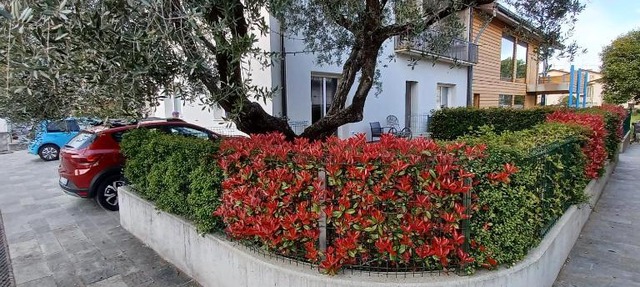 Casa Ciliegi 3