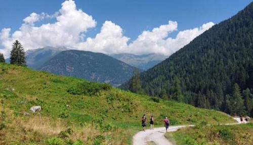Casa Roby - Marilleva 1400 in Val di Sole