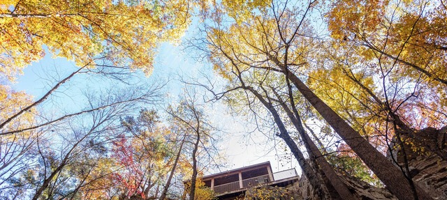 Castle Cliff Riverfront Cottage Peaceful Private Less than15 min to Harrisonburg
