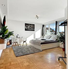 Central & Cozy Loft in Hannover-List