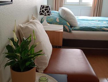 Central tiny studio