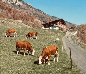 Chalet Luna - Authentic Swiss Chalet by Lake Brienz