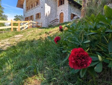 Chalet Peter