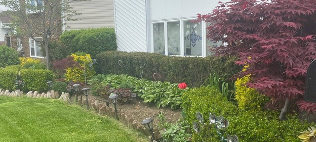 Charming 1-bedroom with WiFi and central AC in Brooklyn