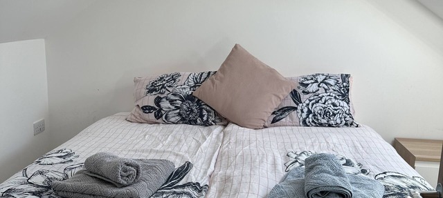 Charming 4 Bed House, 20 Minutes to Central London