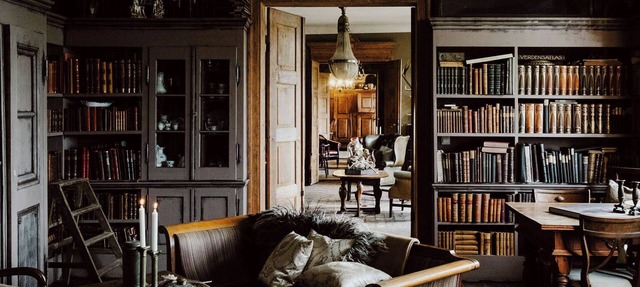 Charming Apartment with a Library