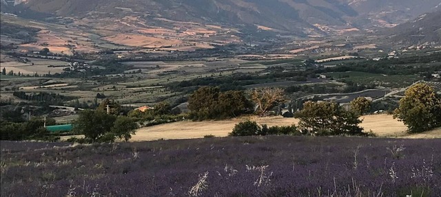 Charming Cycladic Farm