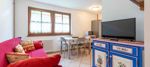 Charming ground floor apartment in the village of Campestrin
