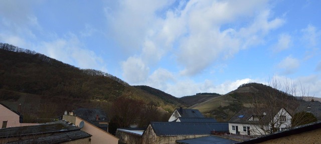 Charming Holiday Home in Neumagen-Dhron