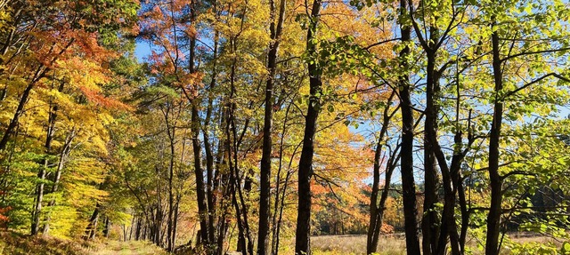 Charming NH log cabin "Lake Escape" on Highland Lake in Stoddard ~