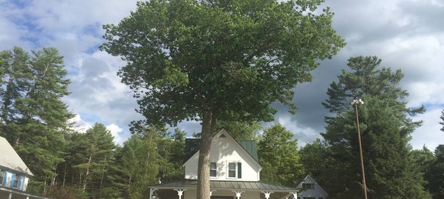 Charming waterfront Mascoma Lake cottage with private beach and dock. ☀️