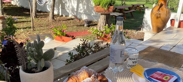 Chill Garden Experience