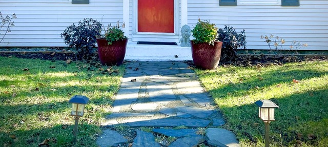 Clean & Convenient - Pets stay free!