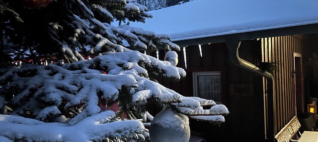 Climate-Friendly Vacation Home in the Eifel – Near the Nürburgring & the Ahr Wine Region