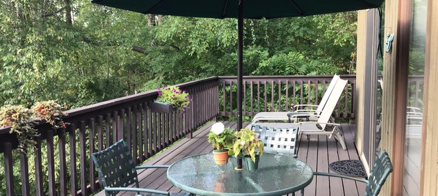 COME FOR THE VIEWS - STAY FOR THE MANY ACTIVITIES OR SIMPLY RELAX