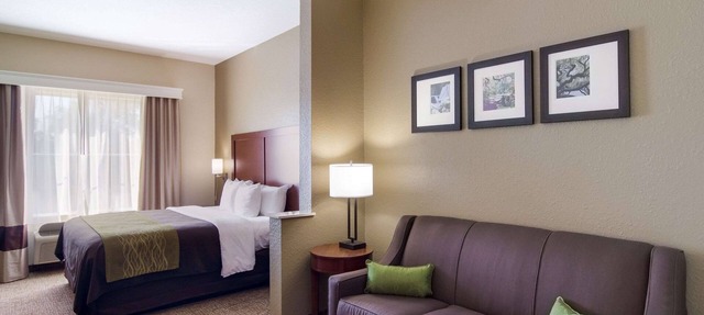 Comfort Inn Blackshear Hwy 84