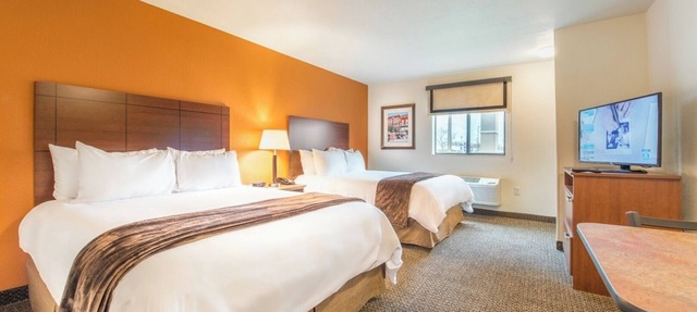 Comfortable Pet-Friendly Rooms with In-Room Kitchens and Free Parking Included