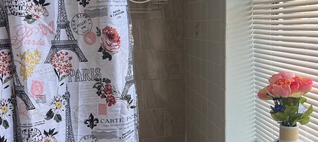 Cozy 1-bedroom apartment rental