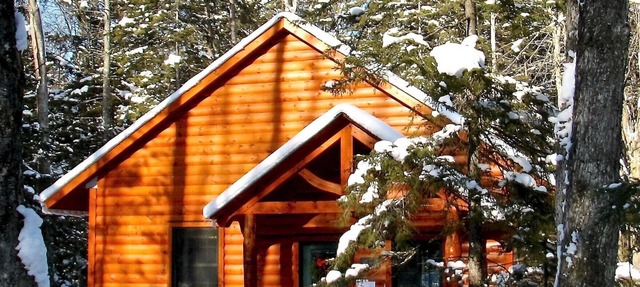 Cozy and pristine timberframe cabin