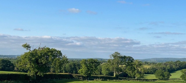 Cozy Bruton Studio with Stunning Views