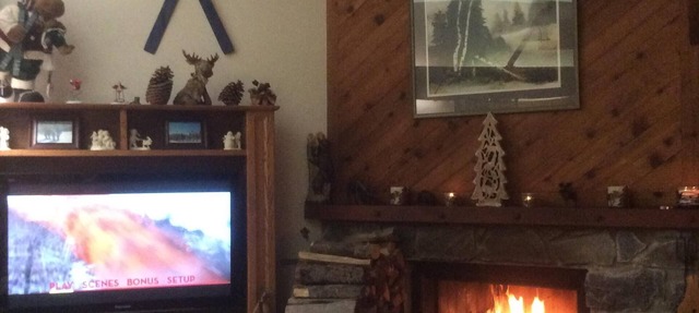 Cozy & Convenient Ski In/Ski Out Condo on Bromley Mountain
