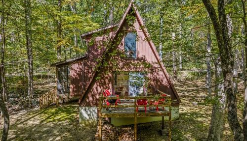 Cozy - Experience It All