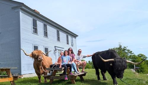 Cozy Highland Cattle-View Suite Peaceful, Private Pet-Friendly