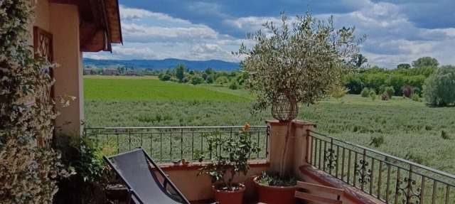 Cozy one-bedroom apartment between town and hills.