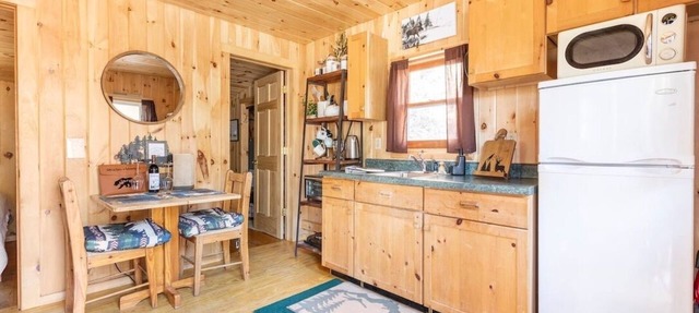 Cozy Riverfront Adirondack Cabin [+ Bonus Cabin]